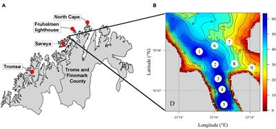 Space and Habitat Utilization of the Red King Crab (Paralithodes camtschaticus) in a Newly Invaded Fjord in Northern Norway